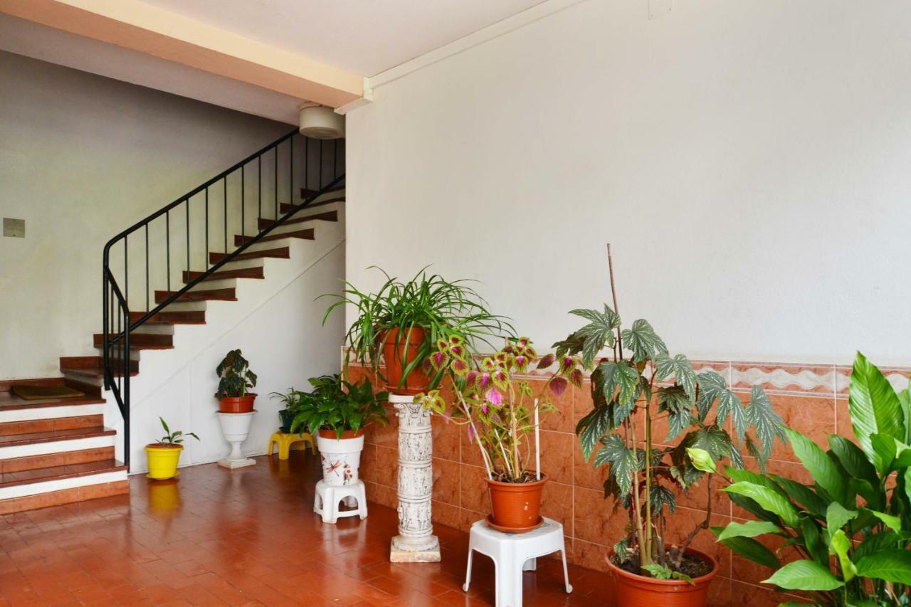 Encarnação House Appartement *